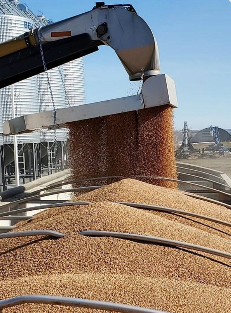 Fertilizer Screen - View 3